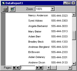 DataReport1 dialog box