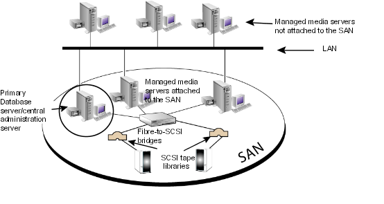 CASO-configured Backup Exec environment - SAN Shared Storage Network
