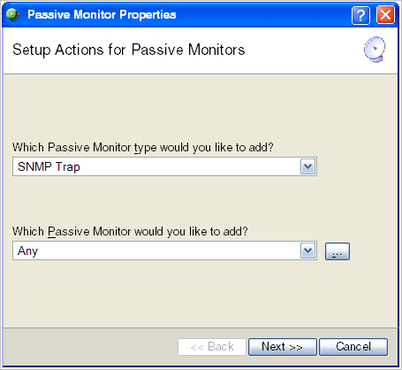 Passive Monitor Properties dialog
