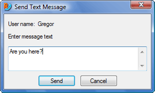 "Send Text Message" window