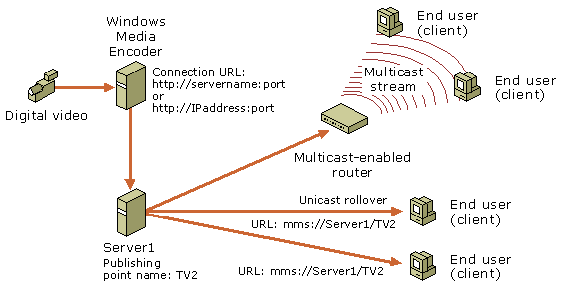 Multicast streaming example 